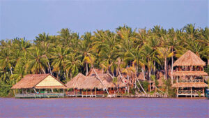 Làng Bè Bến Tre - Chốn làng quê bình yên hữu tình