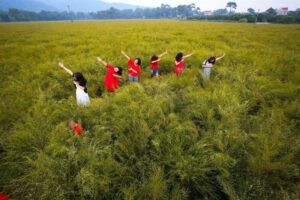 Top 14 điểm du lịch Hải Dương hot trend gần đây